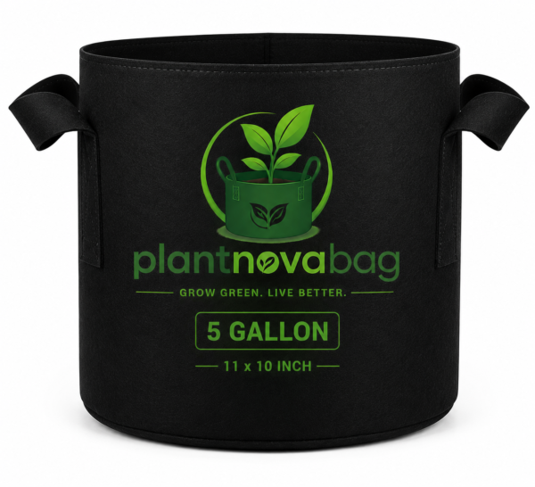 5 Gallon Fabric Grow Bag (11x10 Inch) – Premium Reusable Breathable Plant Pot for Indoor & Outdoor Gardening 5 Gallon Fabric Grow Bag (11x10 Inch) – Premium Reusable Breathable Plant Pot for Indoor & Outdoor Gardening