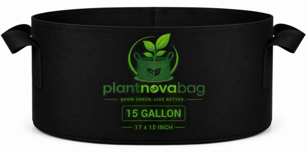 Rectangular Fabric Grow Bag – Kiyari (22x11 Inch) | Reusable Raised Garden Bed for Vegetables & Flowers