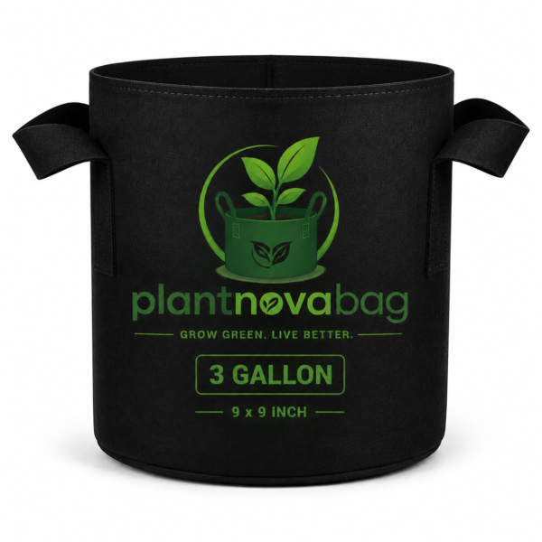 3 Gallon Fabric Grow Bag (9x9 Inch) – Premium Reusable Breathable Plant Pot for Indoor & Outdoor Gardening 3 Gallon Fabric Grow Bag (9x9 Inch) – Premium Reusable Breathable Plant Pot for Indoor & Outdoor Gardening